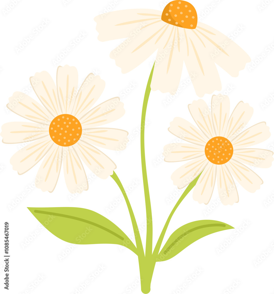 Fototapeta premium Handdrawn daisy flower illustration
