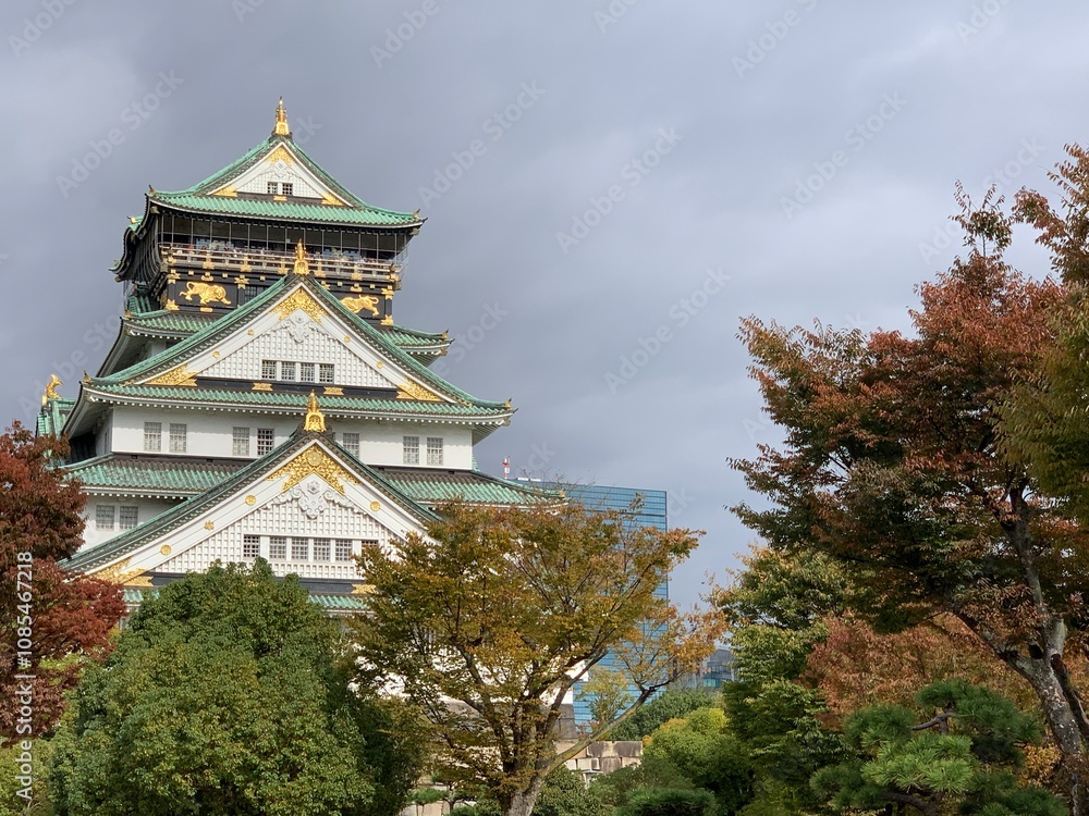 大阪城公園内の景色 大阪城公園内の景色
