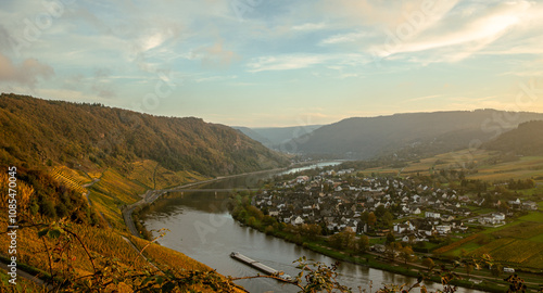 view of the Kroever vineyards in autumn season Germany Moselle River Valley photo