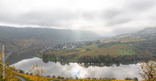 view of the Kroever vineyards in autumn season Germany Moselle River Valley photo