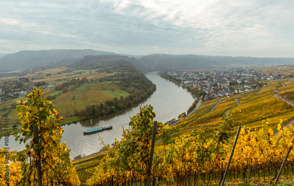 Φωτογραφία view of the Kroever vineyards in autumn season Germany Moselle River Valley