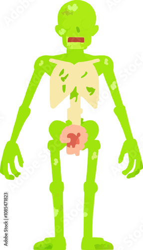 Adobe Illustrator Artwork