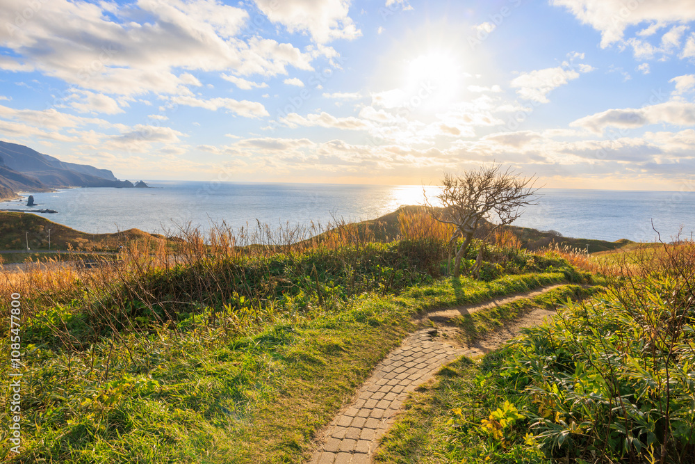 Naklejka premium 秋風が運ぶ神威岬【北海道】
