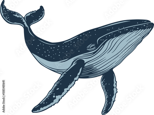 Illustration of a swimming whale.