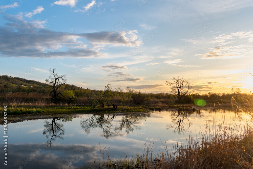 Wild landscape. Lake with dense forest on the shore during sunset. Feeling of calm, happiness, freedom, solitude. Wild landscape. Lake with dense forest on the shore during sunset. Feeling of calm, happiness, freedom, solitude.