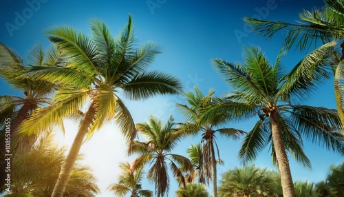 Wallpaper Mural palm trees against the blue sky tropical background Torontodigital.ca