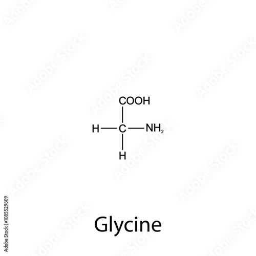 Chemical formula of glycine. Essential amino acids. Organic chemistry. Vector.