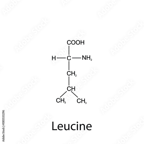 Chemical formula of leucine. Essential amino acids. Organic chemistry. Vector.