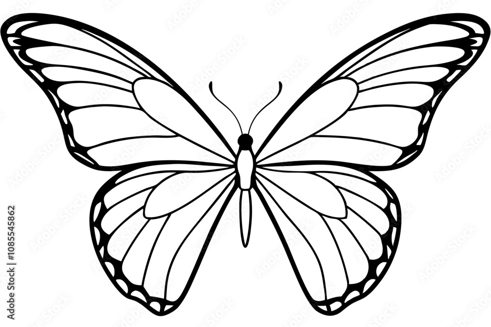 Monarch Wings line art white background Monarch Wings line art white background