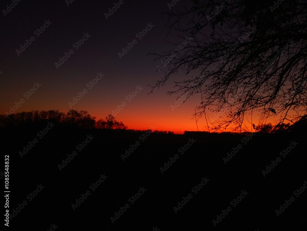 Sunset on the horizon. Bright sky during sunset. Silhouettes of trees on the horizon. A tree branch in the foreground. Sunset on the horizon. Bright sky during sunset. Silhouettes of trees on the horizon. A tree branch in the foreground.