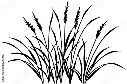 Wild Grasses line art white background