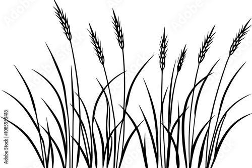 Wild Grasses line art white background