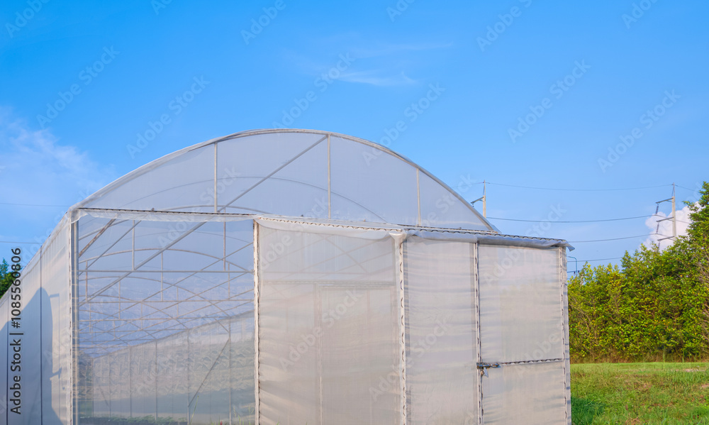 Greenhouse tent with dome roof in hydroponic vegetable farm against blue sky background, low angle view with copy space Greenhouse tent with dome roof in hydroponic vegetable farm against blue sky background, low angle view with copy space