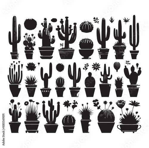 Different Type of Cactus vector set silhouette, Cactus icon