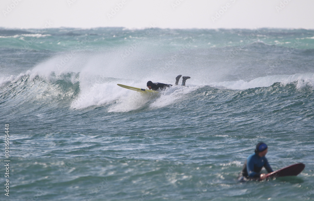 surfer in a wetsuit on a board glides through the waves in a strong wind