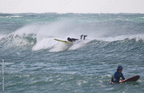 Obraz na płótnie surfer in a wetsuit on a board glides through the waves in a strong wind w salonie