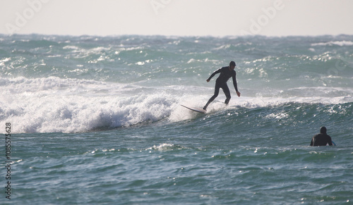 Obraz na płótnie surfer in a wetsuit on a board glides through the waves in a strong wind w salonie