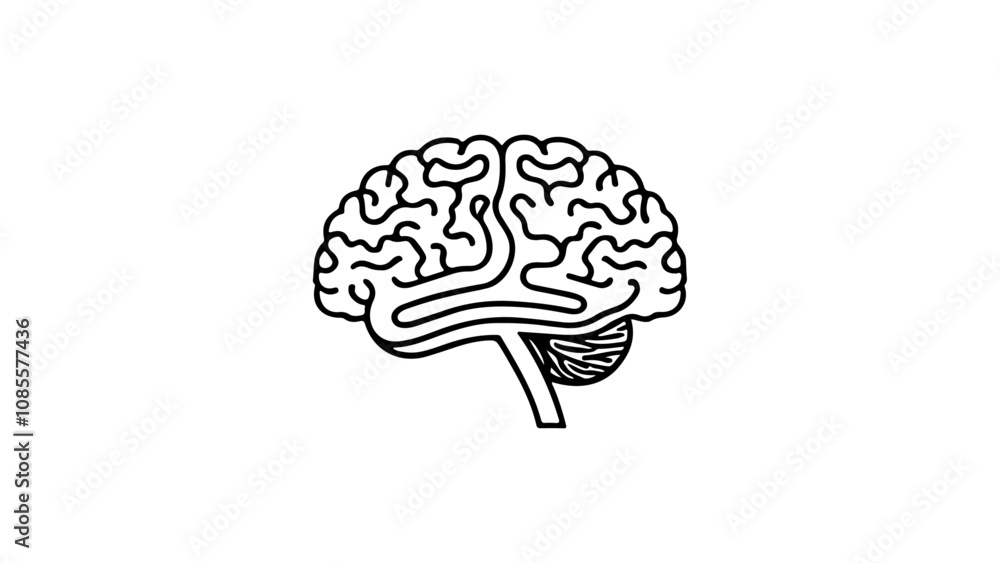 brain outline vector simple silhouette illustration brain outline vector simple silhouette illustration