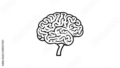 brain outline shape vector illustration, mind illustration, organ brain vector cartoon illustration