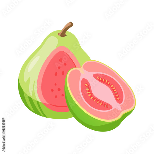 Guava fruit slice illustration