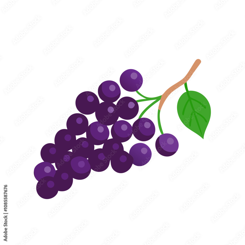 Fototapeta premium Purple grape fruit illustration
