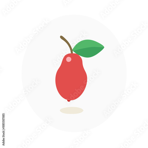 Goji berry vector illustration