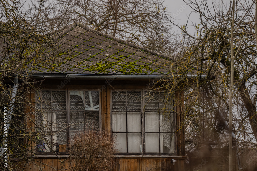 Abandoned old house with moss in the dark forest. Scary empty property home of hard economy Abandoned old house with moss in the dark forest. Scary empty property home of hard economy