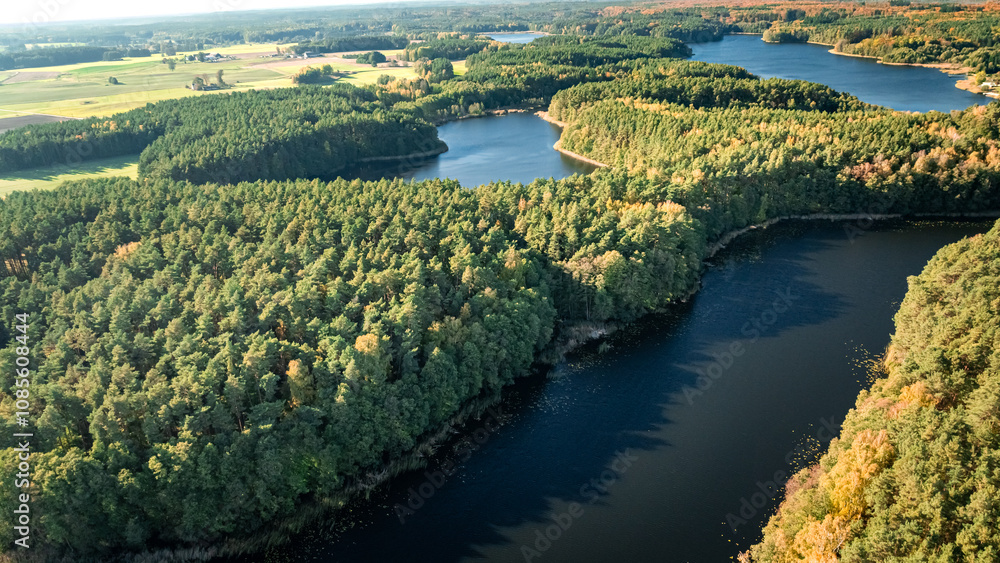 Forest and lake in sunny autumn, aerial view of Poland Forest and lake in sunny autumn, aerial view of Poland