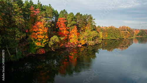 River and colorful forest i...