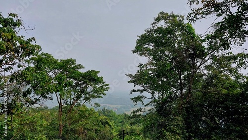 Nature's beauty 