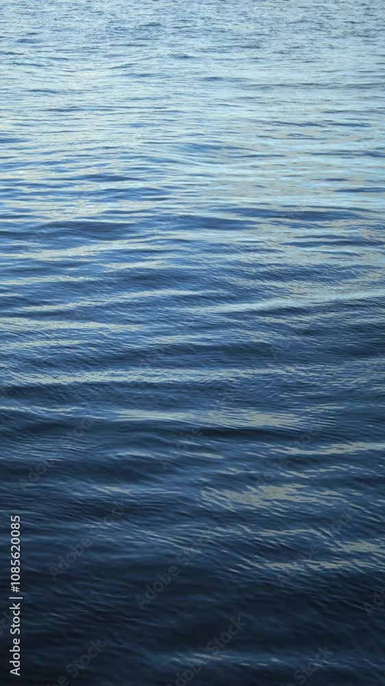 The Gentle Ripples on a Calm Water Surface Create a Serene and Peaceful Atmosphere The Gentle Ripples on a Calm Water Surface Create a Serene and Peaceful Atmosphere