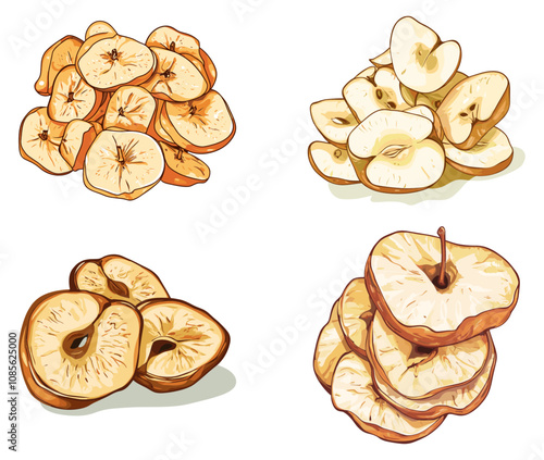 Various dried apple slices, including full rings and partial cuts, depicted in realistic shades, perfect for culinary, autumn, or holiday themes