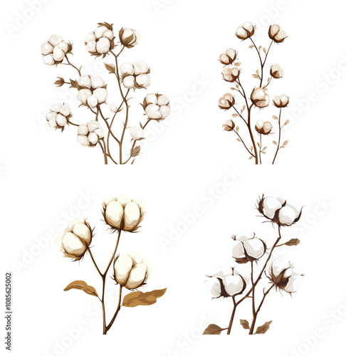 A collection of cotton stem illustrations in earthy tones, representing soft cotton blooms on branches, suitable for rustic or natural designs