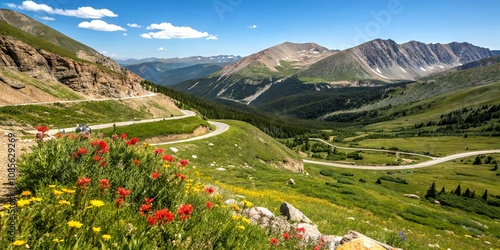 Breathtaking Landscape of Loveland Pass: Majestic Rocky Mountains, Clear Blue Sky, and Vibrant Wildflowers in a Summer Scene Captured in Stunning Detail photo