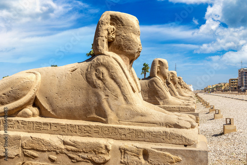 Sphinx Allee in Luxor, Egypt