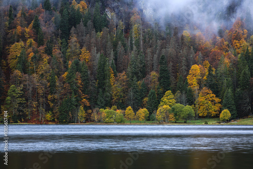 Lake in the Black Forest During Autumn