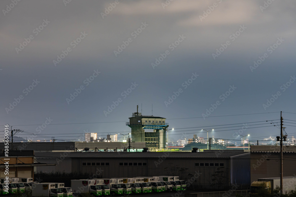 Fototapeta premium 宮崎県宮崎市港東２丁目 命の丘から見た夜景