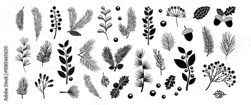 Winter branch leaf, Christmas tree, pine cone, plant hand drawn. Xmas fir, mistletoe, berry, black floral decoration, line needle twig, evergreen spruce, conifer set on transparent background. Vector