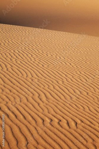 Fototapeta Naklejka Na Ścianę i Meble -  Sand dune with ripples, vertical perspective, background