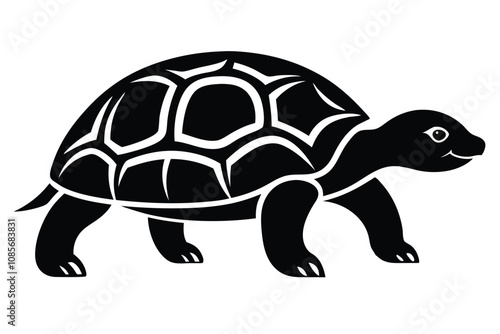 Solid color Indian Star Tortoise animal vector design