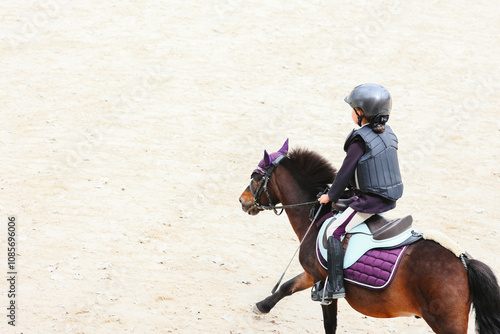 Pony sports. The rider enters the arena riding a pony. Pony class. Aerial views