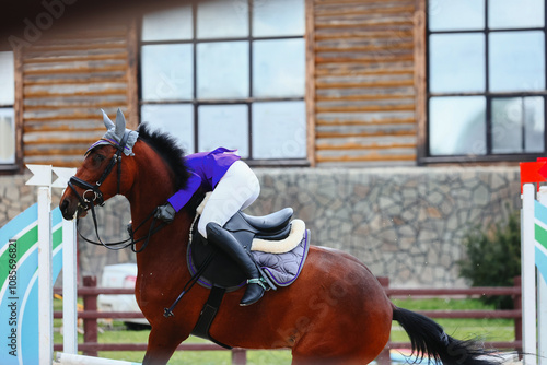 Fotografi Falling from a horse to a speed and hardiness competition