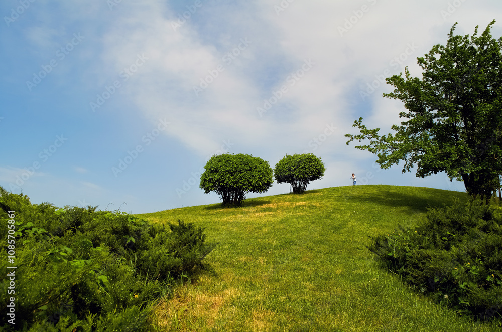 Fototapeta premium Beautiful hill with bushes and a boy with butterflies