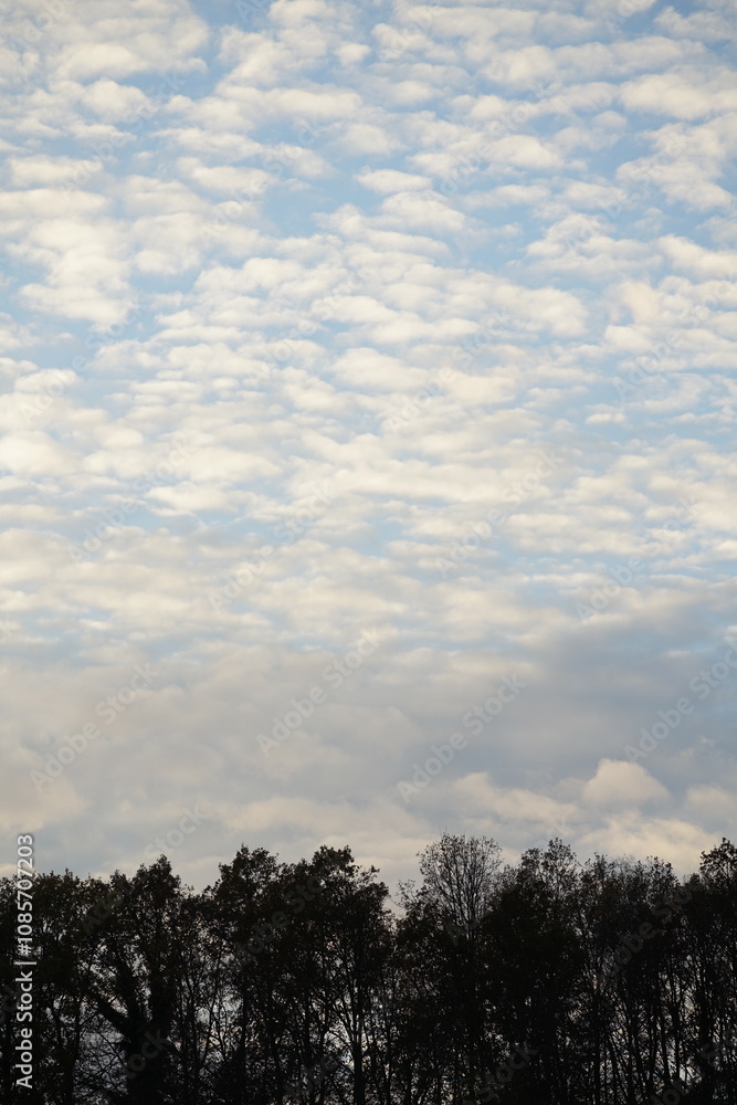 Schöner leichter Wolken Himmel über einem Waldrand aus Bäumen Schöner leichter Wolken Himmel über einem Waldrand aus Bäumen