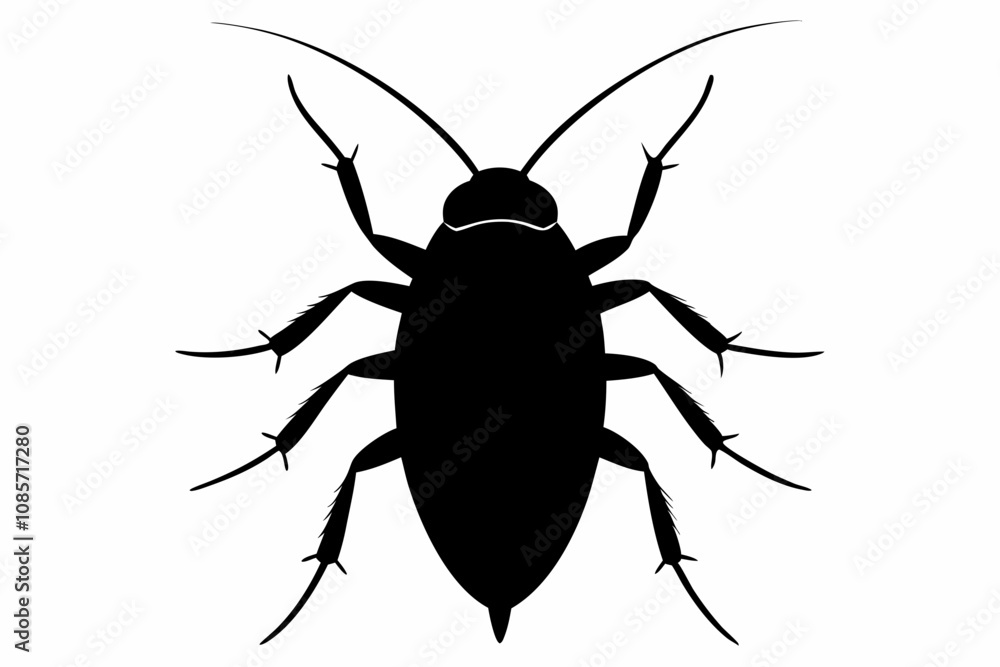 Cockroach silhouette, cockroach icon vector on white background Cockroach silhouette, cockroach icon vector on white background