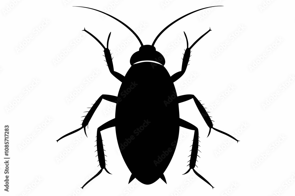 Cockroach silhouette, cockroach icon vector on white background Cockroach silhouette, cockroach icon vector on white background