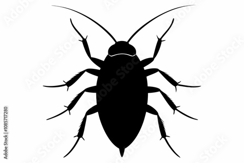 Cockroach silhouette, cockroach icon vector on white background