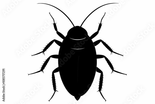 Cockroach silhouette, cockroach icon vector on white background