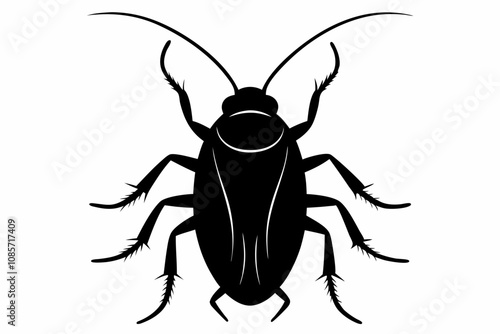 Cockroach silhouette, cockroach icon vector on white background