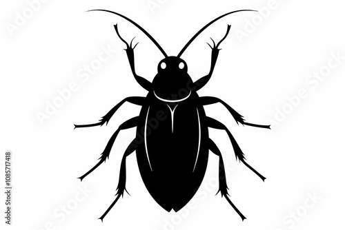 Cockroach silhouette, cockroach icon vector on white background